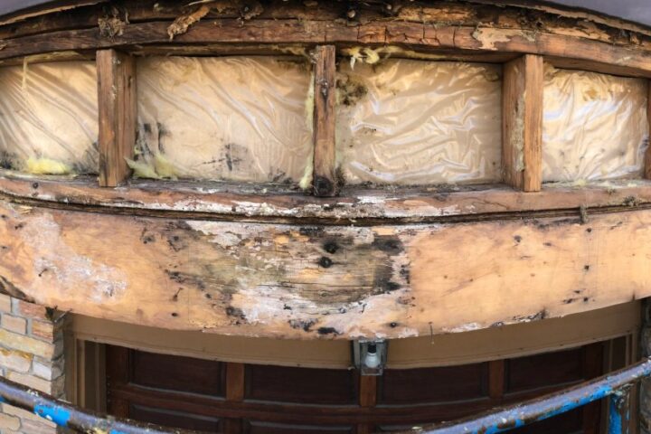 Restoration project photo 20 by Lux Con Construction Inc.