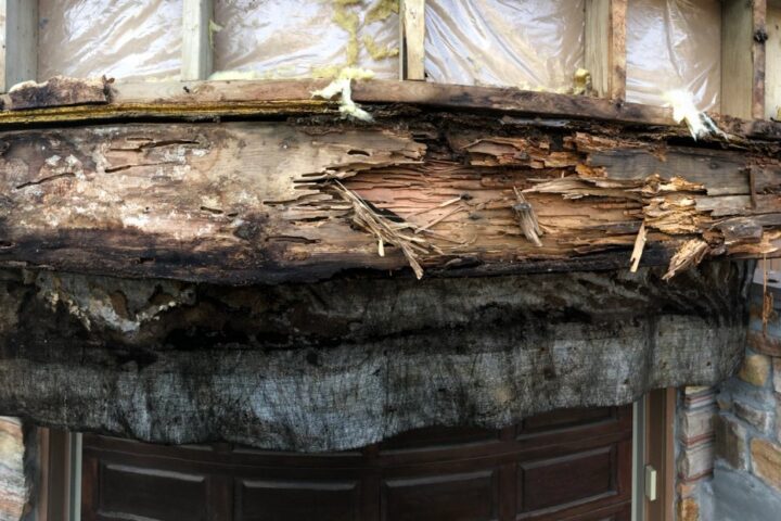 Restoration project photo 19 by Lux Con Construction Inc.