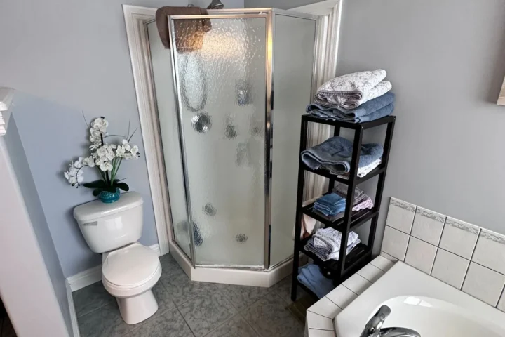 Bathroom renovation: project photo 2 from Lux Con Construction Inc.