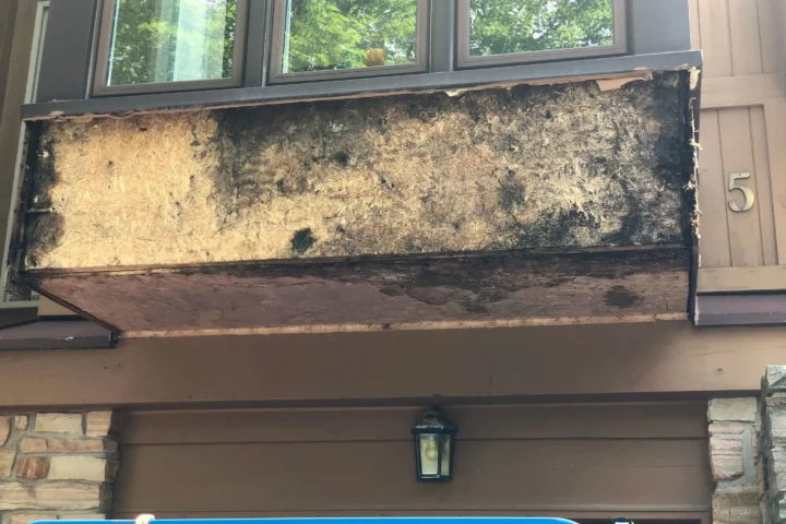 Bay window exterior restoration: project photo 4 from Lux Con Construction Inc.